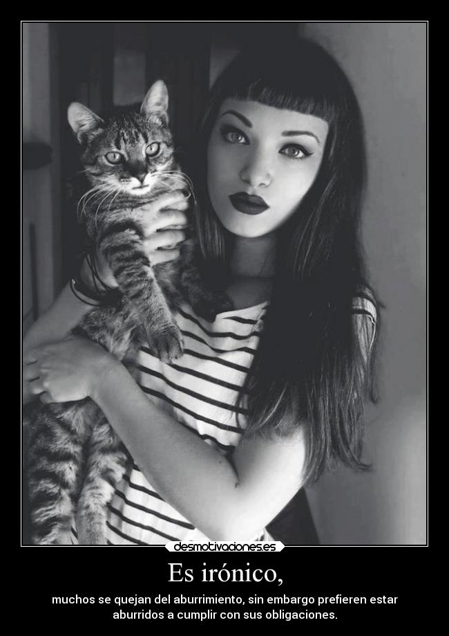 Es irónico, - 