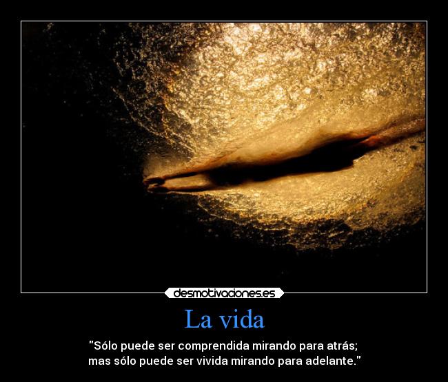 La vida - Sólo puede ser comprendida mirando para atrás;
mas sólo puede ser vivida mirando para adelante.