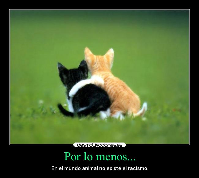 Por lo menos... -