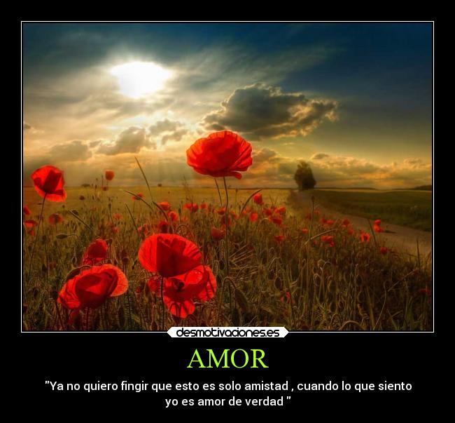 AMOR -