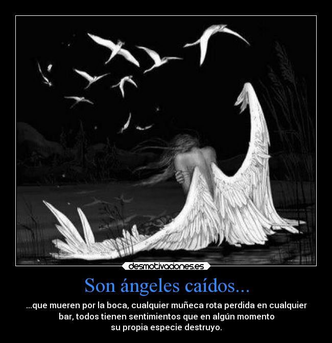 Son ángeles caídos... -