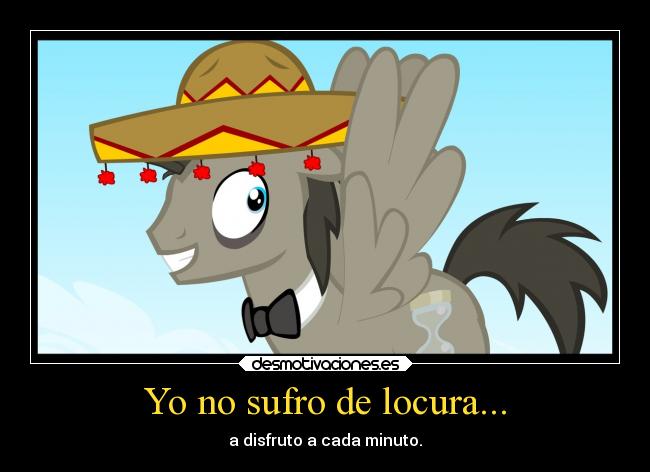 Yo no sufro de locura... - a disfruto a cada minuto.