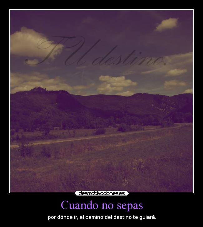 Cuando no sepas - por dónde ir, el camino del destino te guiará.