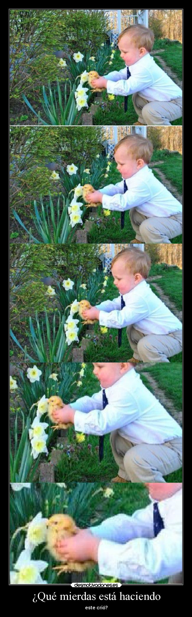 ¿Qué mierdas está haciendo -