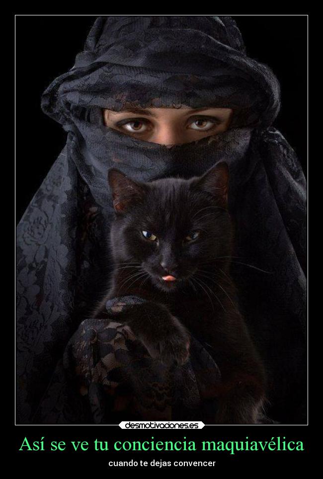 carteles vida devilbrigade kyrayagami desmotivaciones