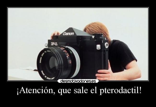 ¡Atención, que sale el pterodactil! - 