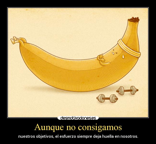 Aunque no consigamos - nuestros objetivos, el esfuerzo siempre deja huella en nosotros.