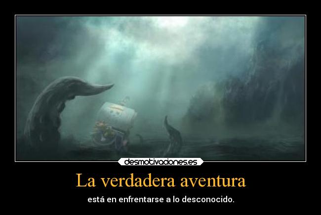 carteles one piece aventura enfretarse desconocido ronoa desmotivaciones