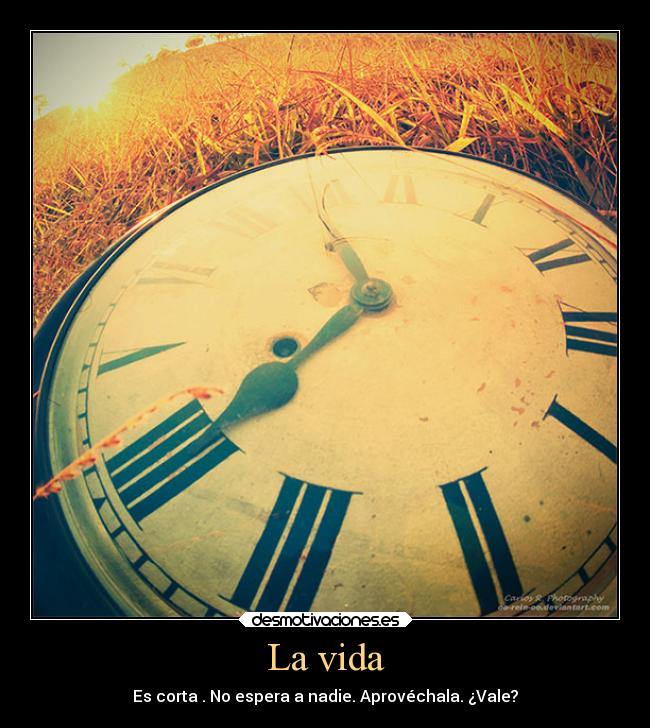 La vida - 