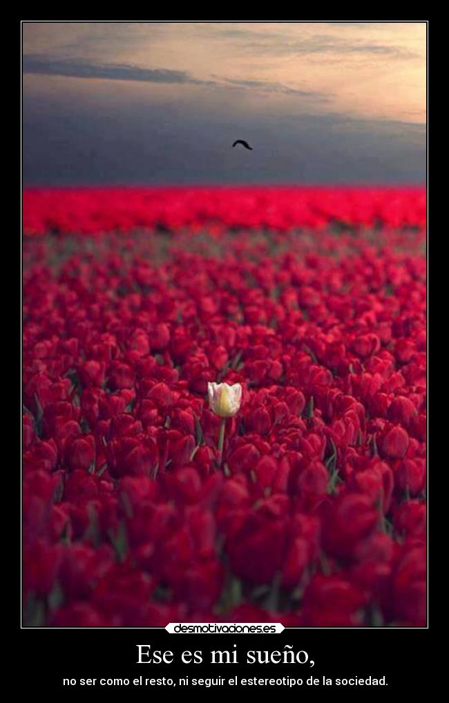 Ese es mi sueño, - no ser como el resto, ni seguir el estereotipo de la sociedad.
