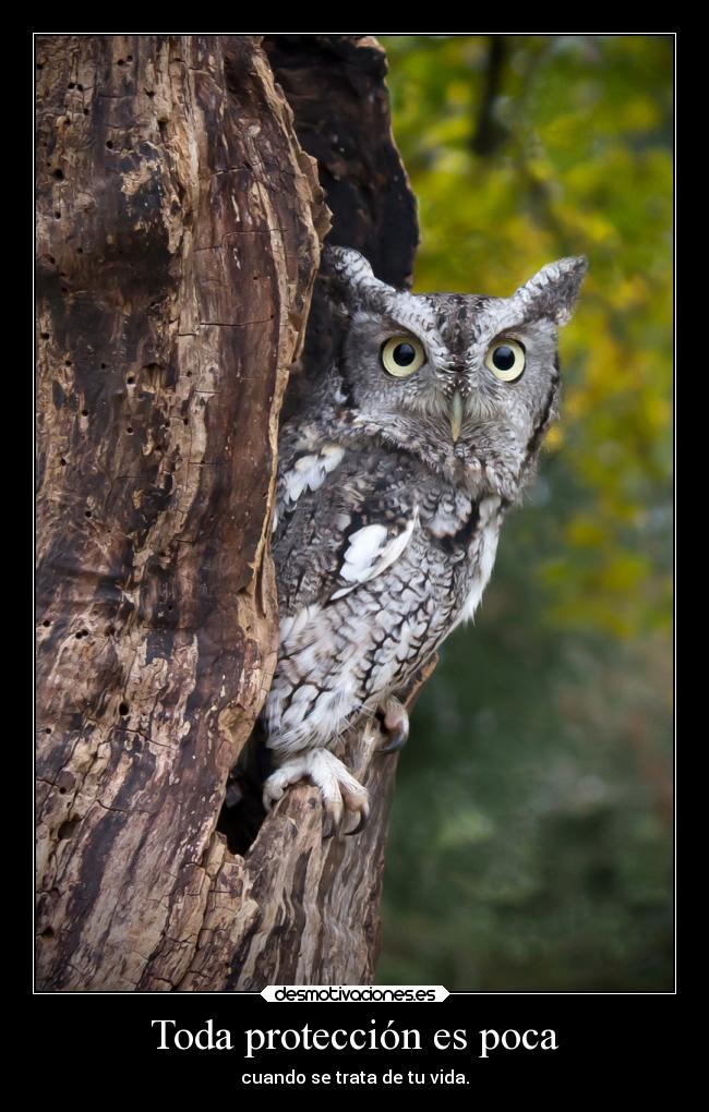 Toda protección es poca - cuando se trata de tu vida.