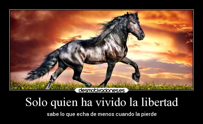 Solo quien ha vivido la libertad - 