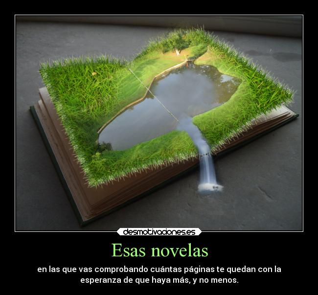 Esas novelas - en las que vas comprobando cuántas páginas te quedan con la
esperanza de que haya más, y no menos.