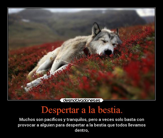 Despertar a la bestia. - Muchos son pacíficos y tranquilos, pero a veces solo basta con
provocar a alguien para despertar a la bestia que todos llevamos
dentro,