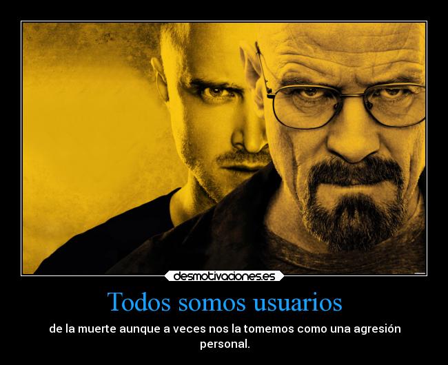 Todos somos usuarios - 