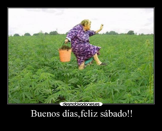 Imagenes Buenos Dias Feliz Sabado | top buenos dias feliz sabado wallpapers Imagenes Buenos Dias Feliz Sabado | top buenos dias feliz sabado wallpapers