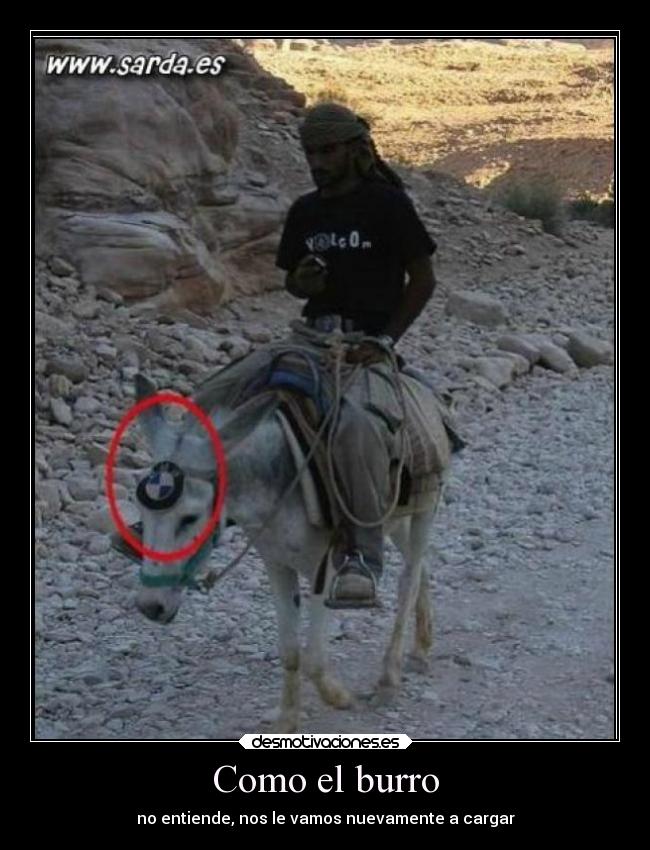carteles burro entiende desmotivaciones