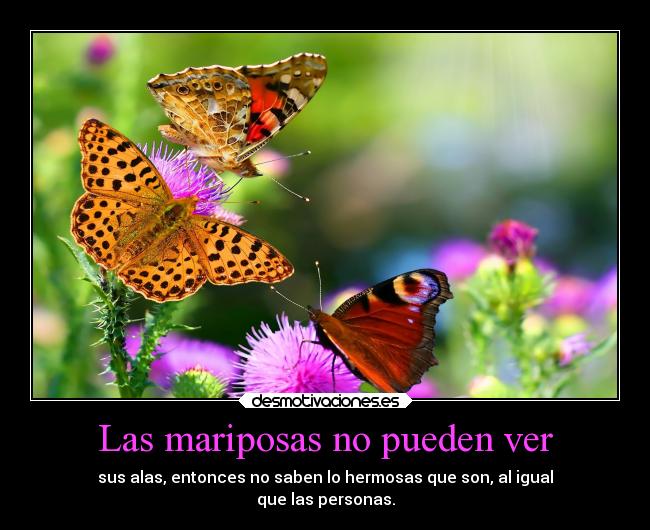 carteles vida desmotivaciones