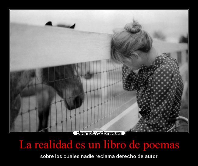 carteles estrellanocturna realidad poesia mundo metaforas desmotivaciones