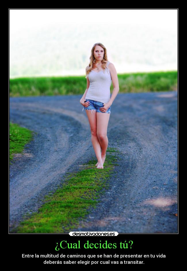 ¿Cual decides tú? - Entre la multitud de caminos que se han de presentar en tu vida
deberás saber elegir por cual vas a transitar.