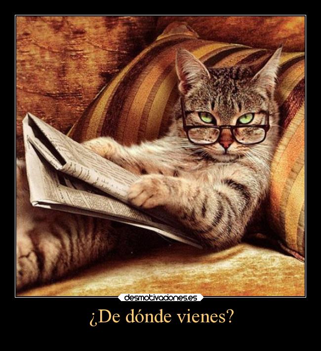 ¿De dónde vienes? -
