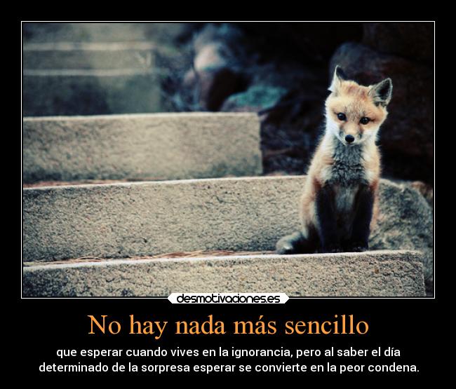 No hay nada más sencillo -