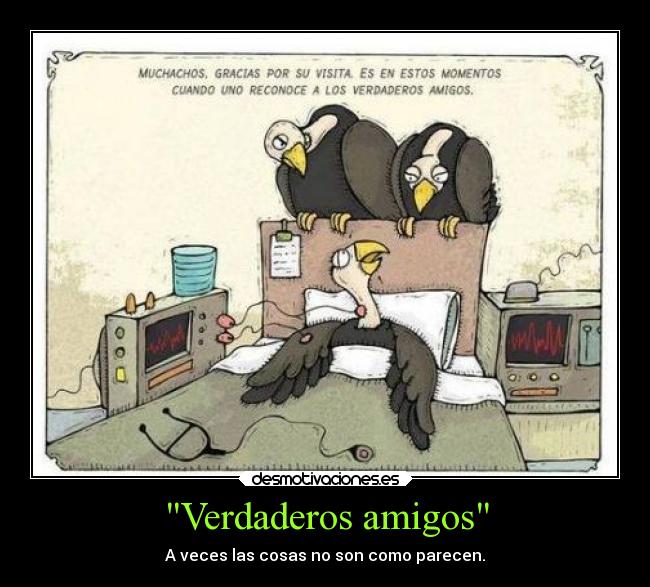 Verdaderos amigos - 