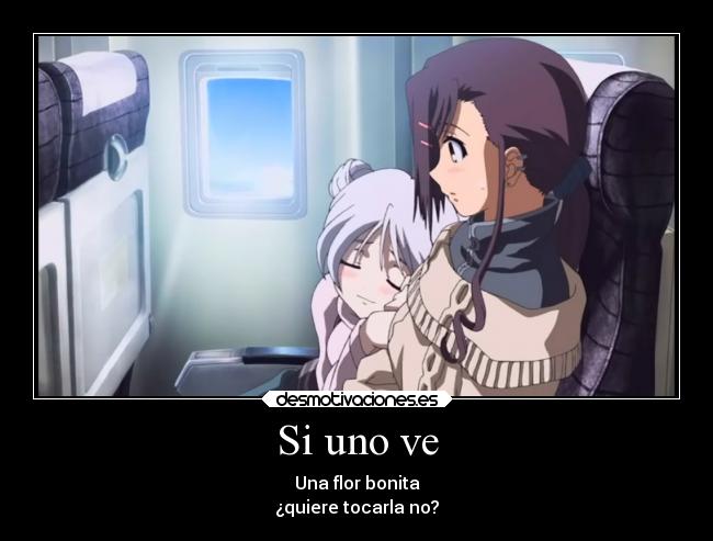 Si uno ve - Una flor bonita
¿quiere tocarla no?