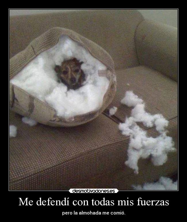 Me defendí con todas mis fuerzas - pero la almohada me comió.