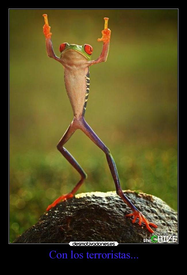 Con los terroristas... -