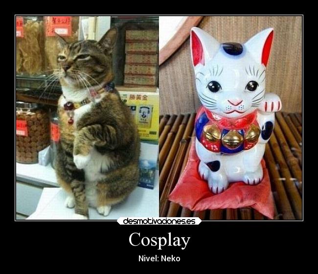 Cosplay -