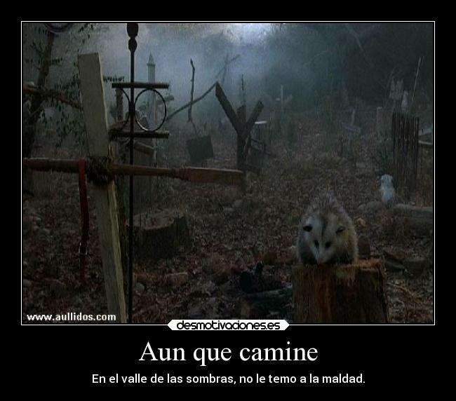 Aun que camine - 