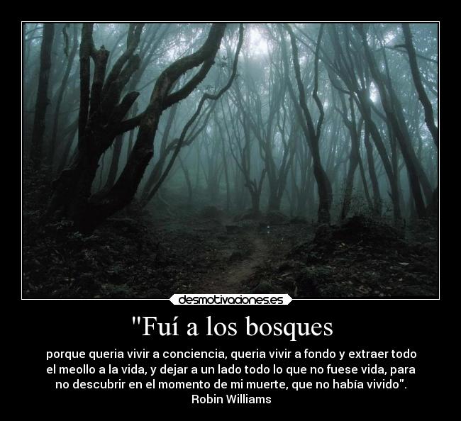 Fuí a los bosques -