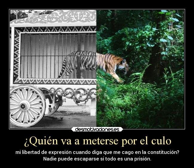 ¿Quién va a meterse por el culo - mi libertad de expresión cuando diga que me cago en la constitución?
Nadie puede escaparse si todo es una prisión.