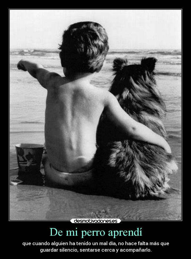 De mi perro aprendí - 