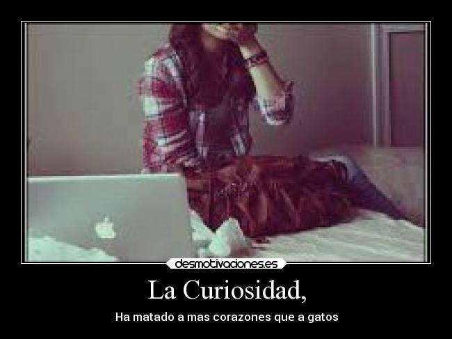 La Curiosidad, -