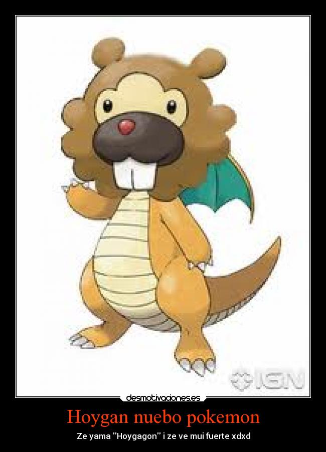 Hoygan nuebo pokemon -