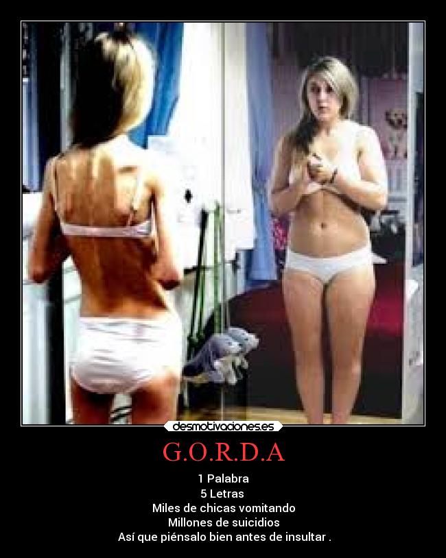 G.O.R.D.A - 