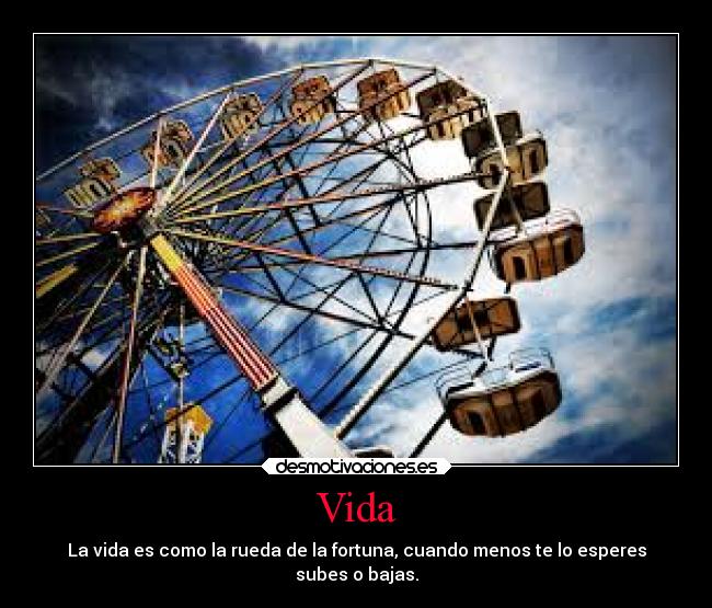 Vida -