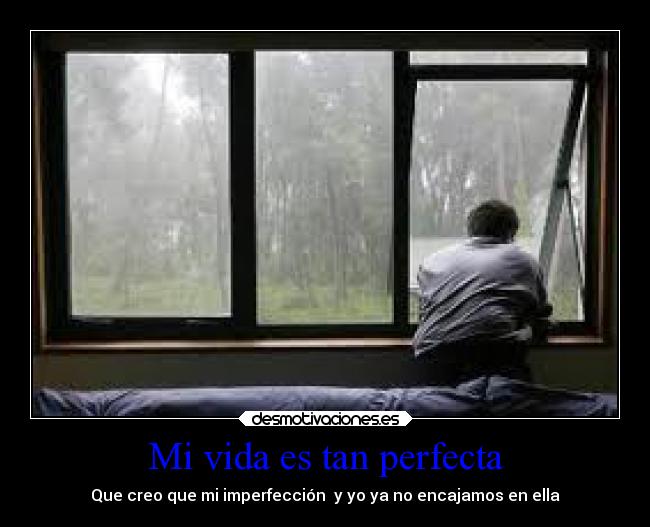 Mi vida es tan perfecta - Que creo que mi imperfección y yo ya no encajamos en ella