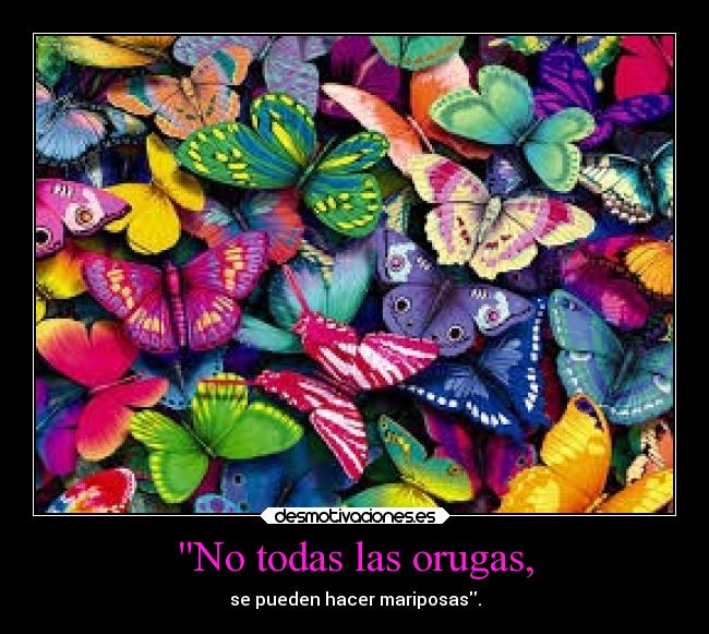 No todas las orugas, - se pueden hacer mariposas.