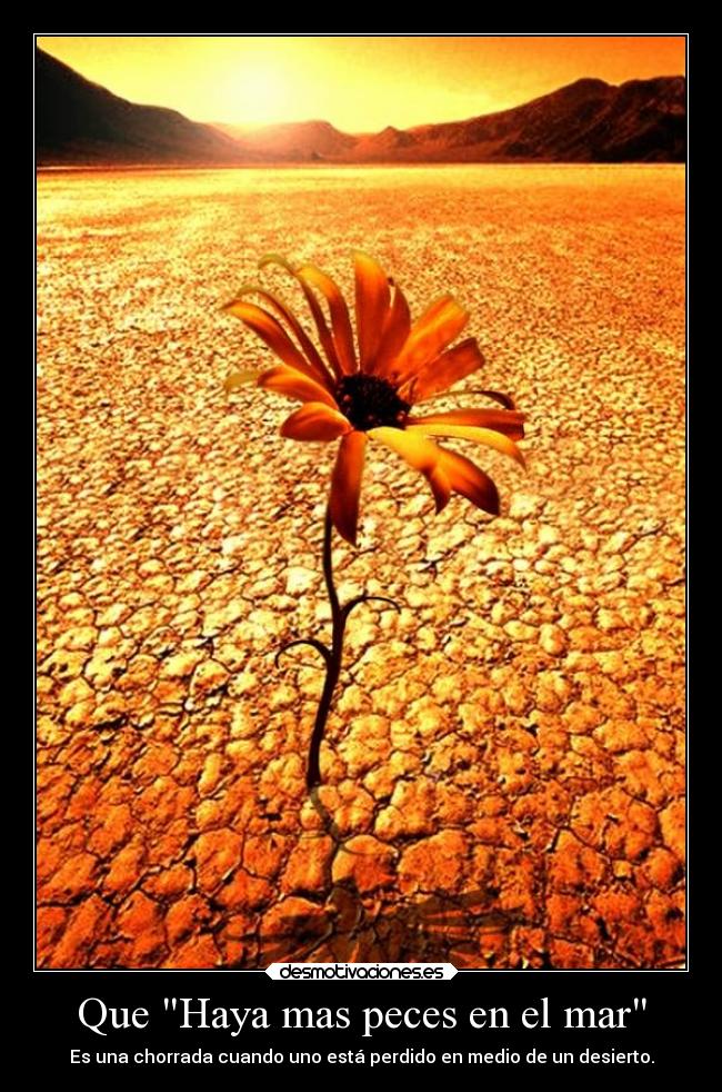 Que Haya mas peces en el mar - Es una chorrada cuando uno está perdido en medio de un desierto.