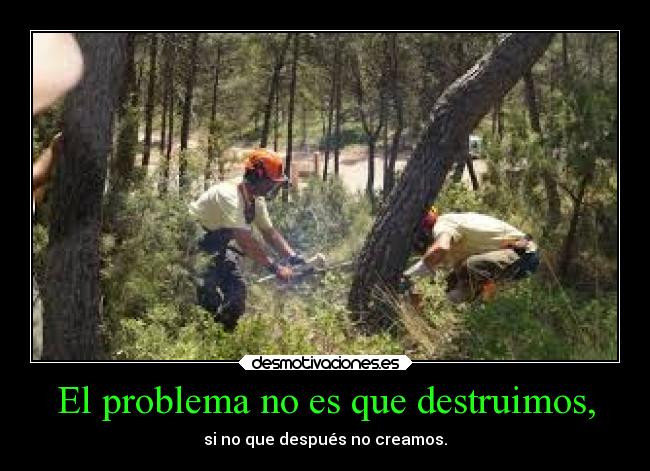 El problema no es que destruimos, - si no que después no creamos.