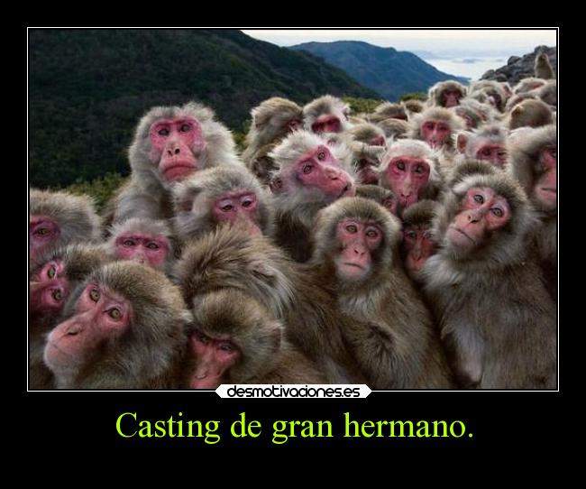 carteles criticas desmotivaciones desmotivaciones