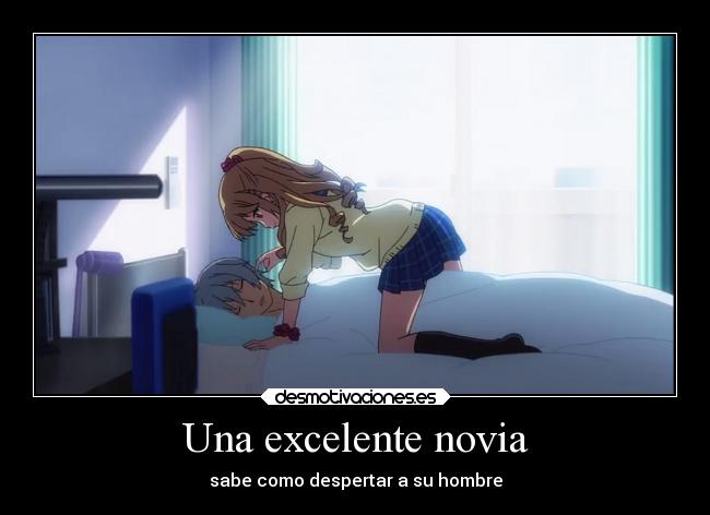 Una excelente novia -