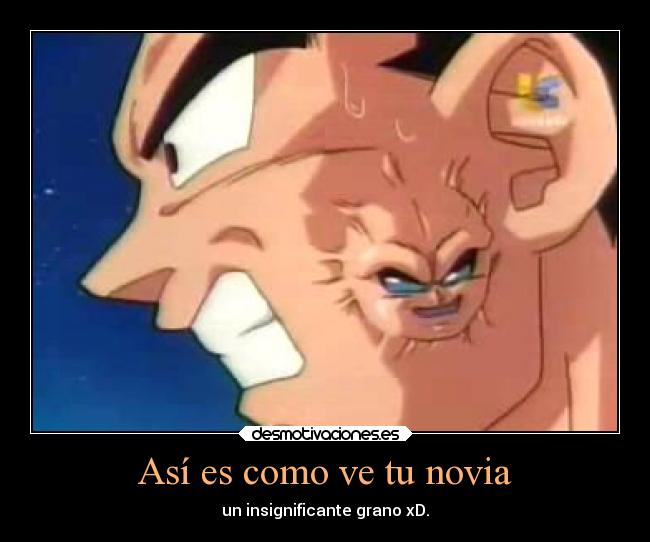 carteles dragonball gracioso anime belleza desmotivaciones