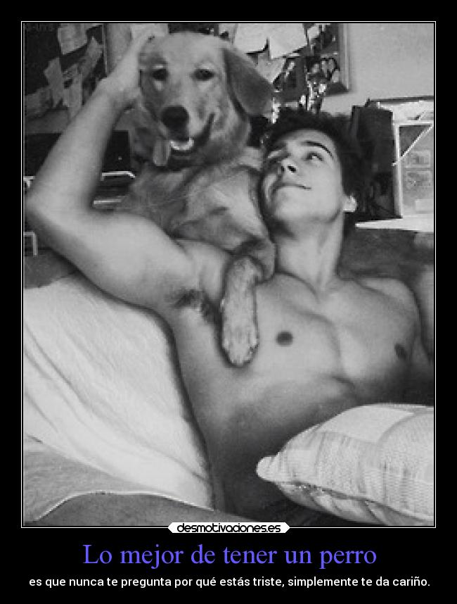 Lo mejor de tener un perro - es que nunca te pregunta por qué estás triste, simplemente te da cariño.