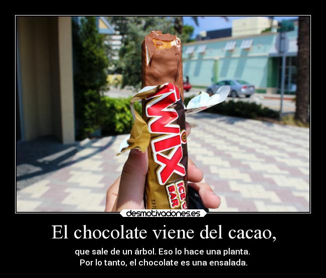 El chocolate viene del cacao, -