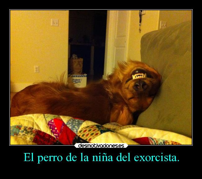 carteles animales endemoniados desmotivaciones