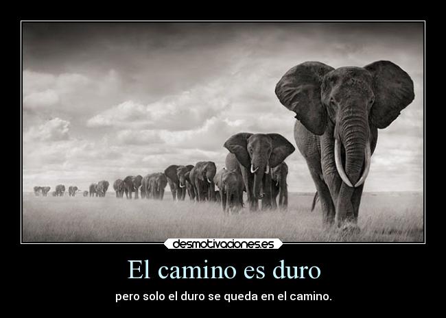 El camino es duro - pero solo el duro se queda en el camino.